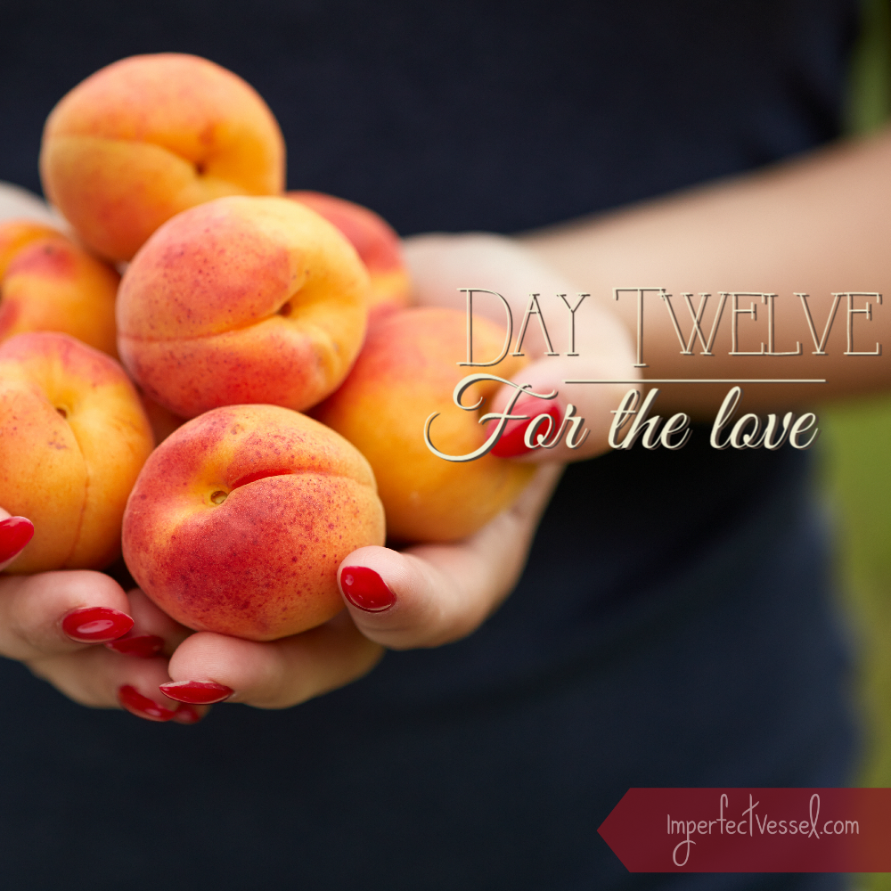Day Twelve // For the Love