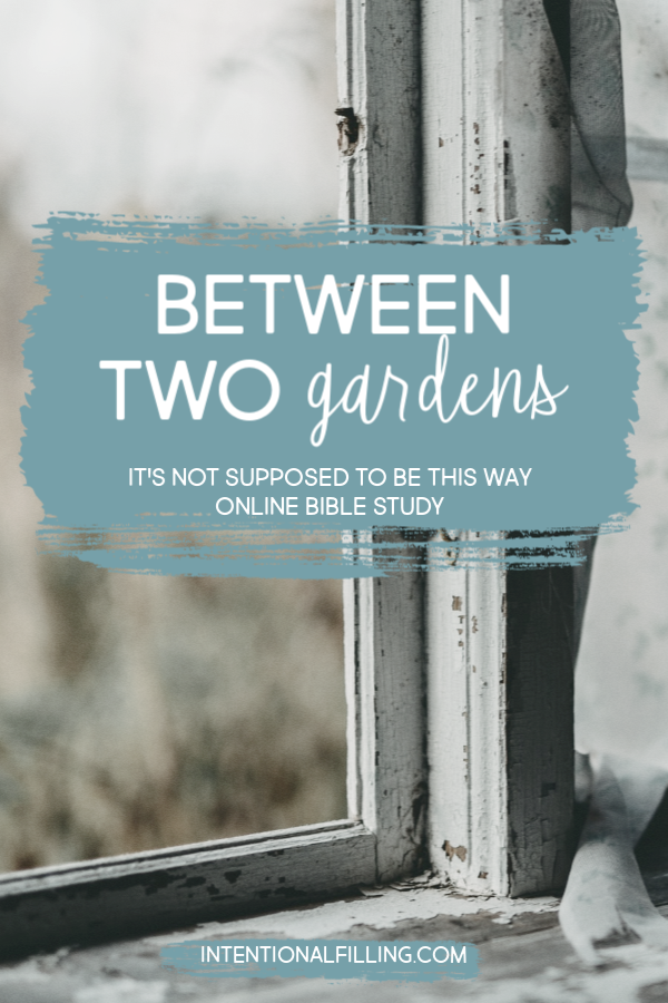 Week One | Between Two Gardens of "It's Not Supposed to Be This Way" by Lysa TerKeurst - Online Bible Study | Intentionalfilling.com