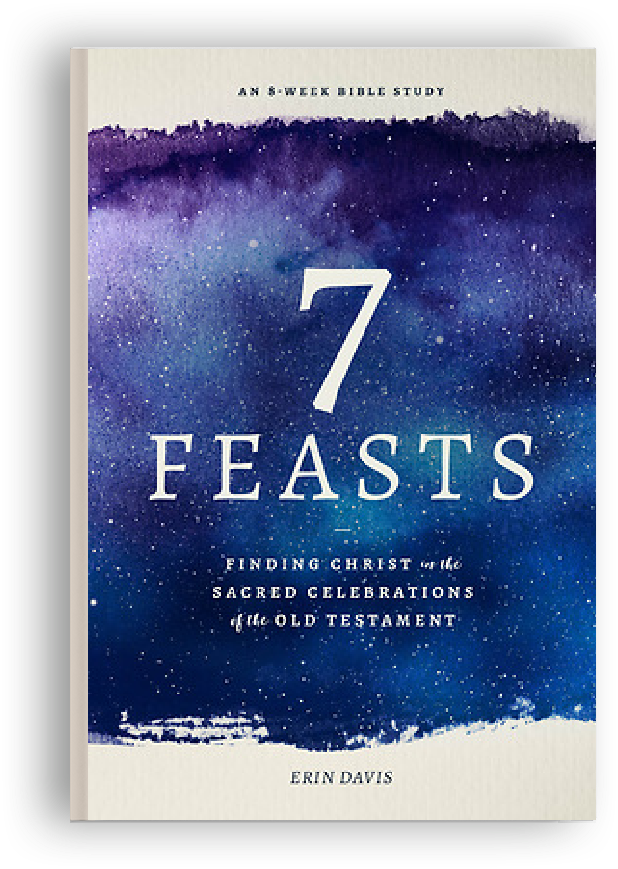 Books We Love - 7 Feasts by Erin Davis
