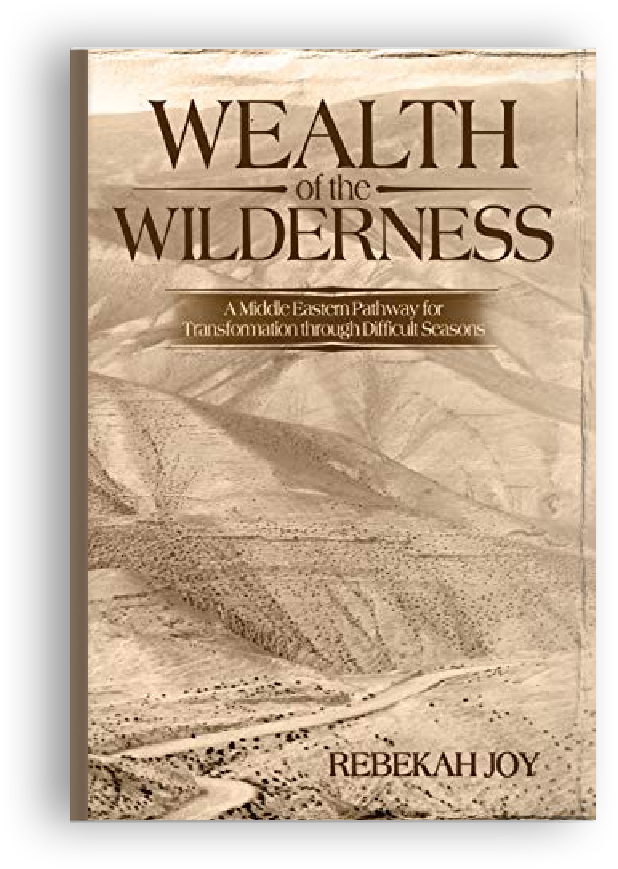 Books we love - Wealth of the Wilderness by Rebekah Joy