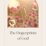 The Fingerprints of God by Joy Moore | Intentional Filling
