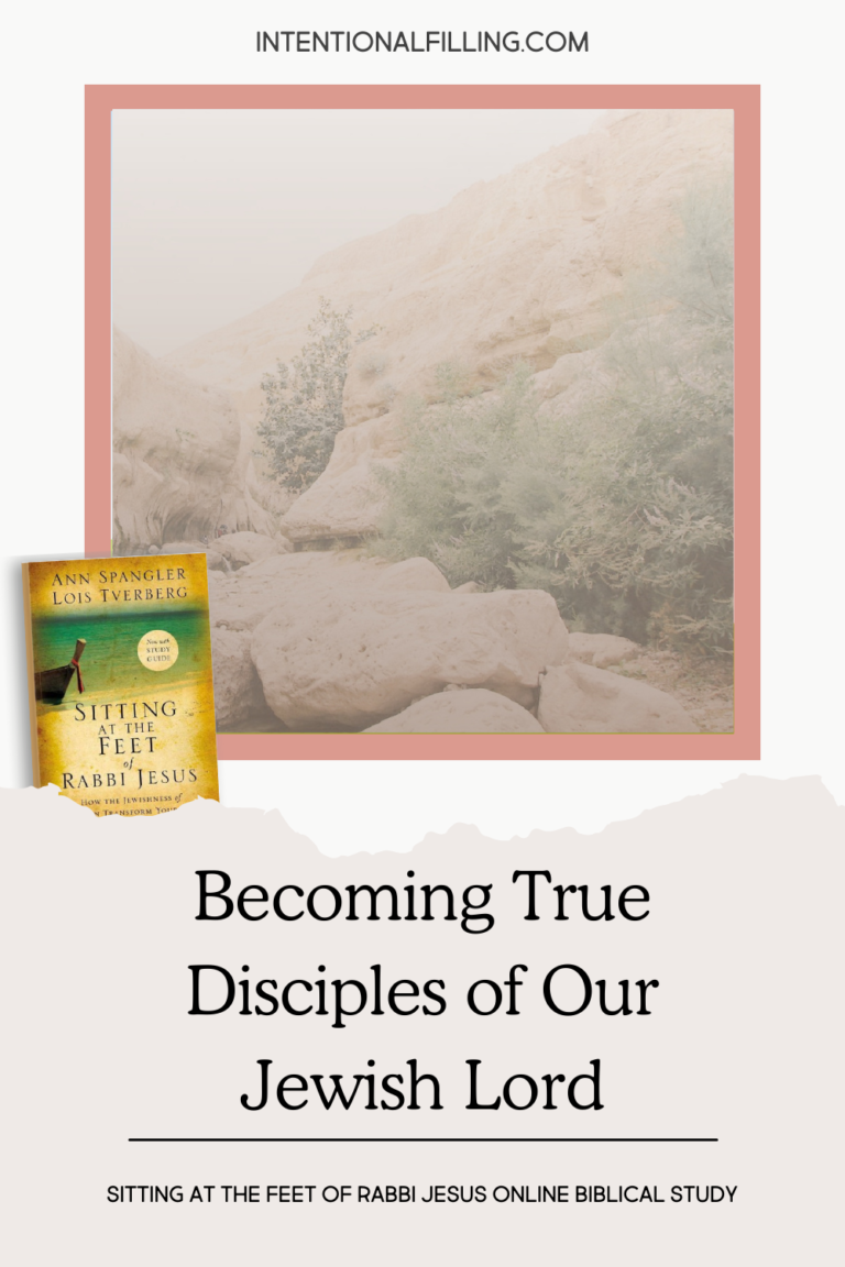 Becoming True Disciples - Blog Post from "Sitting at the Feet of Rabbi Jesus" Online Study | Intentionalfilling.com