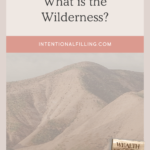 What is the Wilderness? - "Wealth of the Wilderness" Online Study | Intentionalfilling.com