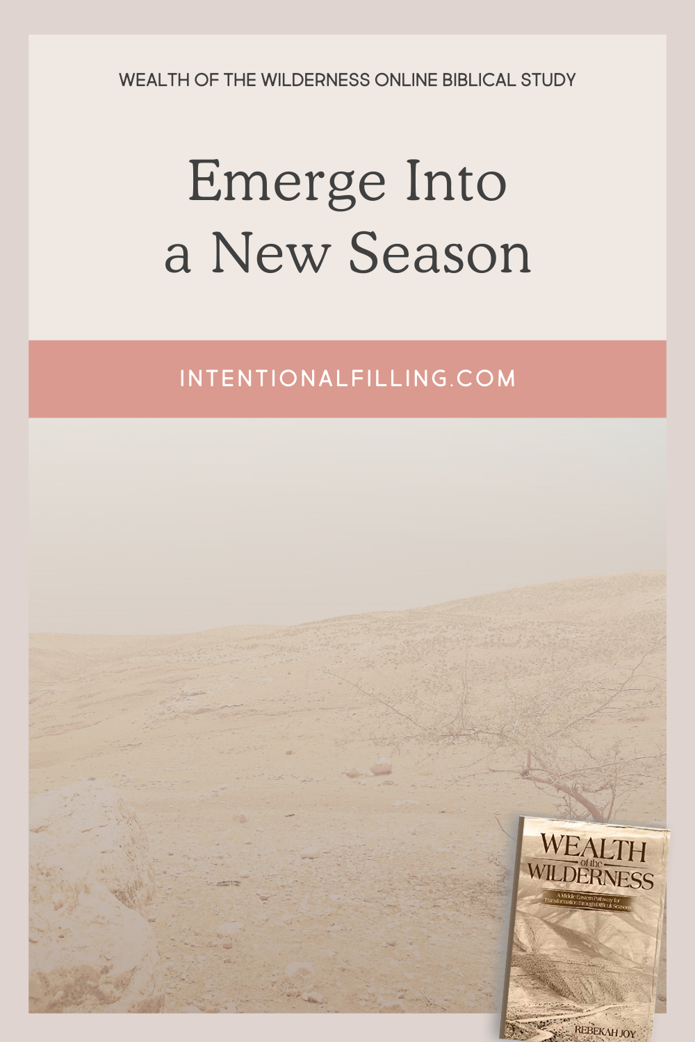 Emerge into a New Season - "Wealth of the Wilderness" Online Study | Intentionalfilling.com