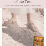 Week Six - The Treasure of the Text from "Walking in the Dust of Rabbi Jesus" Online Biblical Study hosted by Intentional Filling