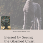 Blessed by Seeing the Glorified Christ - Blessed Online Biblical Study | Intentionalfilling.com