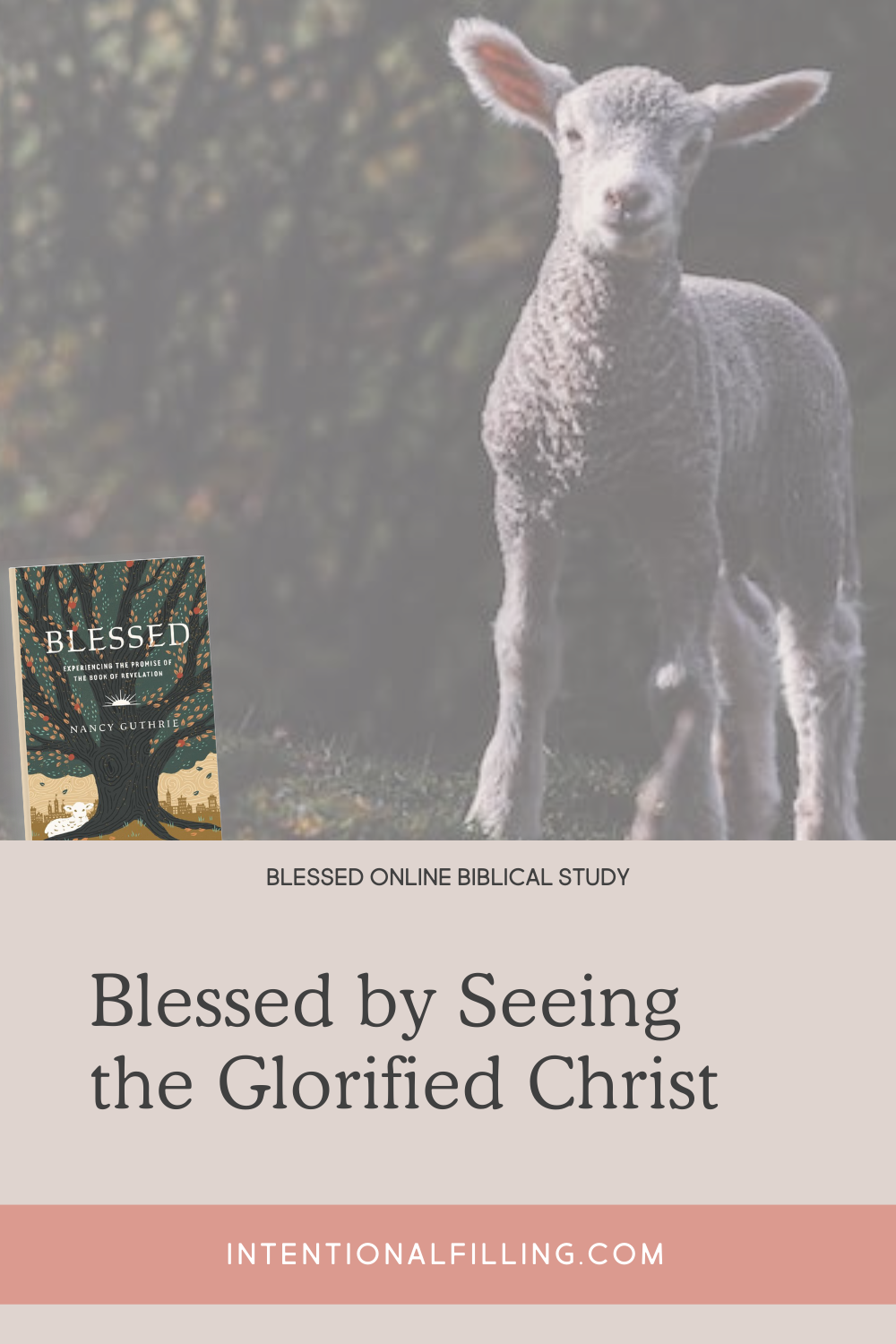 Blessed by Seeing the Glorified Christ - Blessed Online Biblical Study | Intentionalfilling.com
