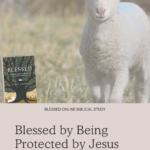 Blessed by Being Protected by Jesus - Blessed Online Biblical Study | Intentionalfilling.com
