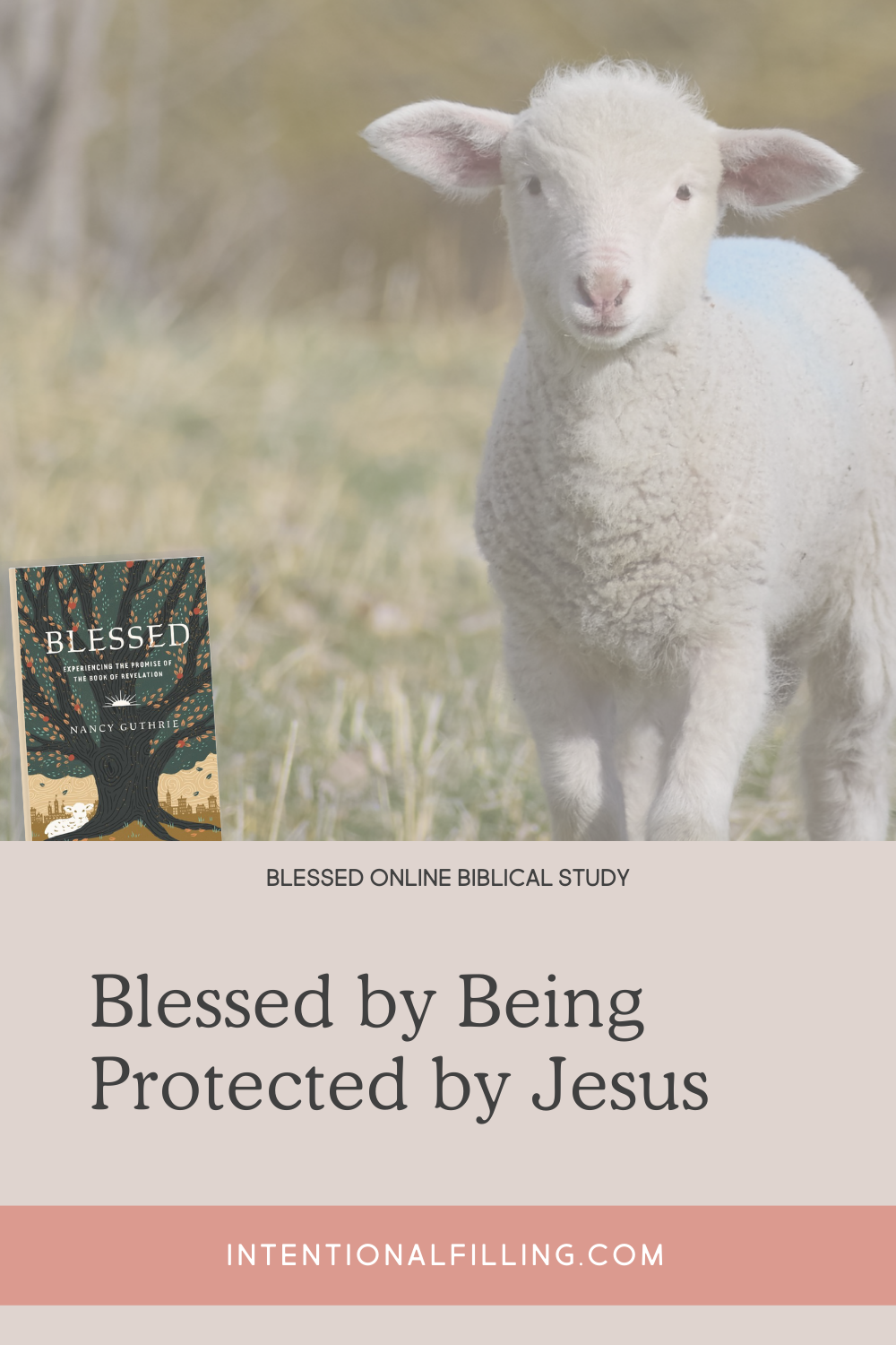 Blessed by Being Protected by Jesus - Blessed Online Biblical Study | Intentionalfilling.com