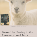 Blessed by Sharing in the Resurrection of Jesus - Blessed Online Biblical Study | Intentionalfilling.com