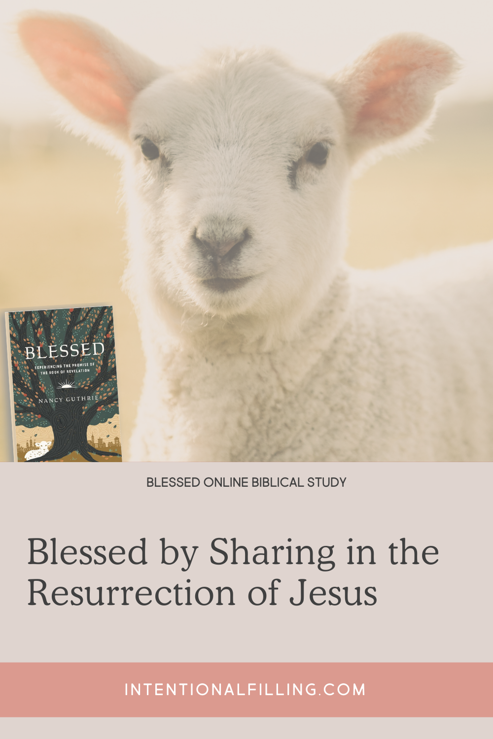 Blessed by Sharing in the Resurrection of Jesus - Blessed Online Biblical Study | Intentionalfilling.com