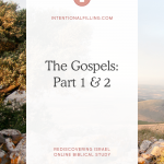 The Gospels: Part 1 & 2 - Rediscovering Israel Online Biblical Study | Intentionalfilling.com