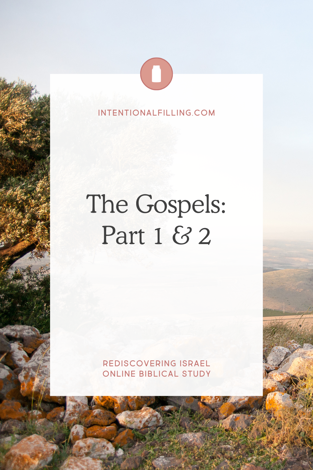 The Gospels: Part 1 & 2 - Rediscovering Israel Online Biblical Study | Intentionalfilling.com